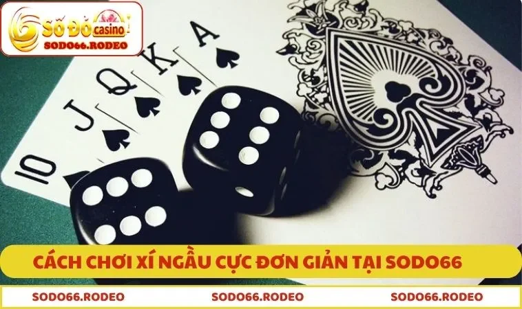 Cách chơi xí ngầu