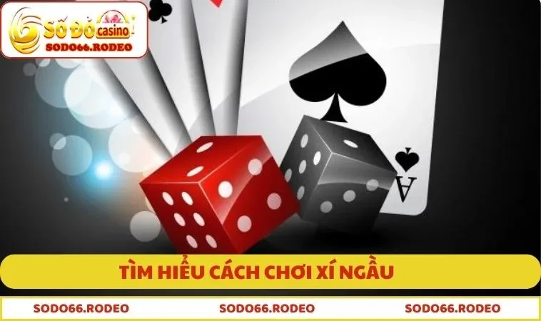 Tìm hiểu cách chơi xí ngầu